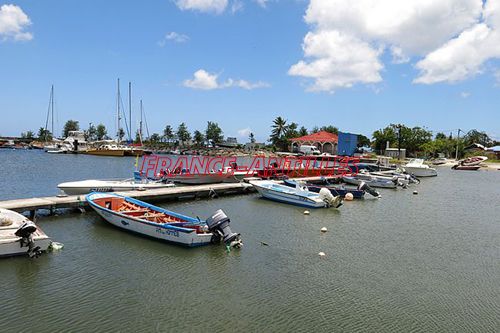 Pollution des eaux en guadeloupe